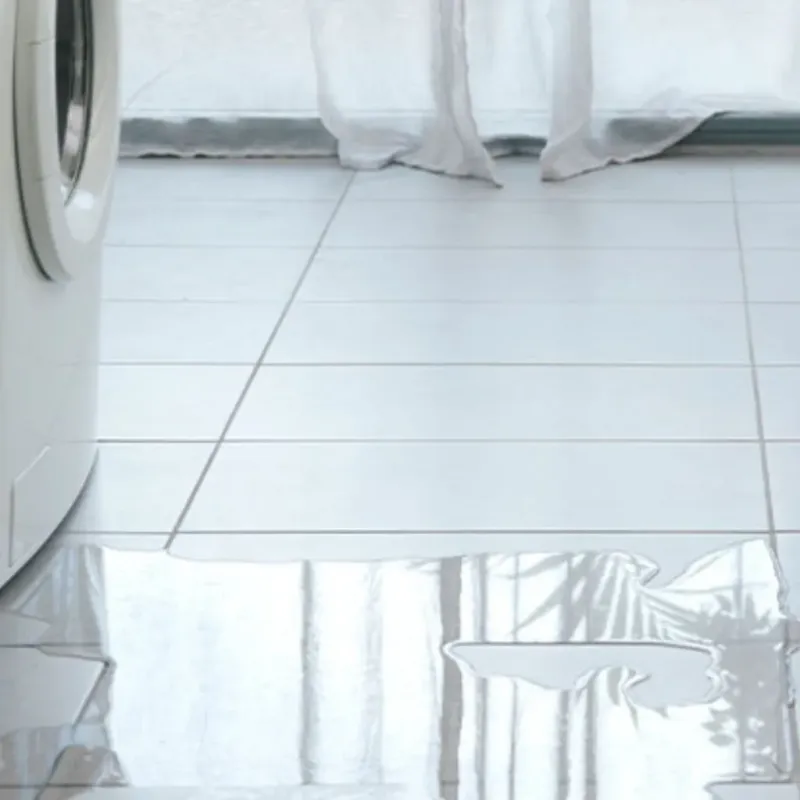 Appliance Leak Cleanup in Steele County, MN