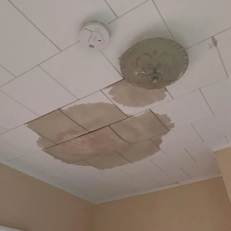 Ceiling Water Damage Repair in Steele County, MN