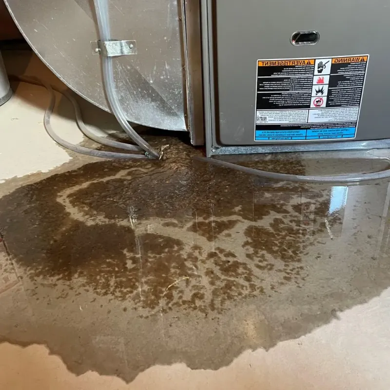 Pipe Burst and Leak Restoration in Steele County, MN